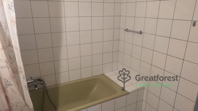 Debrecen, Greatforest Area, flat  