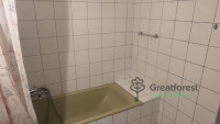 Debrecen, Greatforest Area, flat  