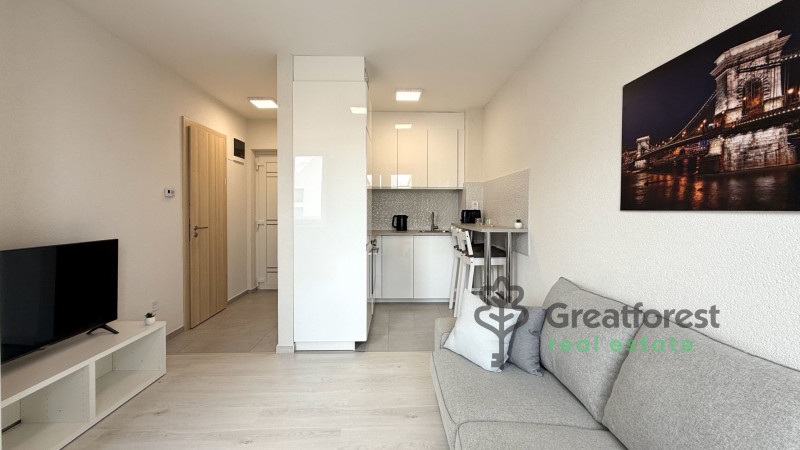 Debrecen, City Center, flat  