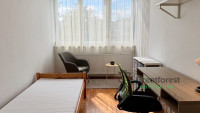 Debrecen, Close To Main Campus, block of flats  
