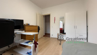 Debrecen, City Center, flat  