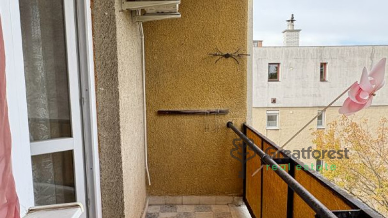 Debrecen, Close To Main Campus, flat  
