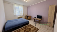 Debrecen, Close To Main Campus, flat  