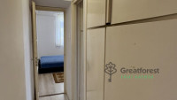 Debrecen, Close To Main Campus, flat  