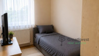 Debrecen, Close To Main Campus, flat  