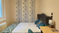 Debrecen, Close To Main Campus, flat  