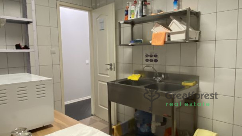 Debrecen, City Center, house  