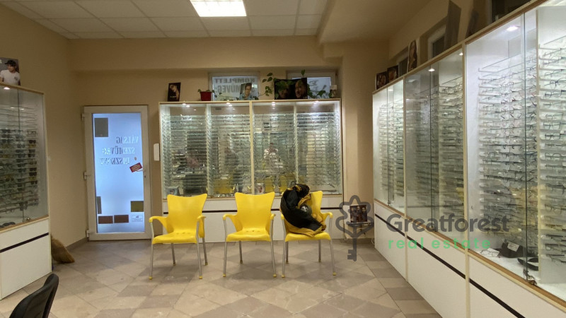 Debrecen, City Center, house  