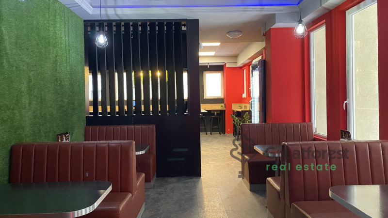 Debrecen, City Center, house  