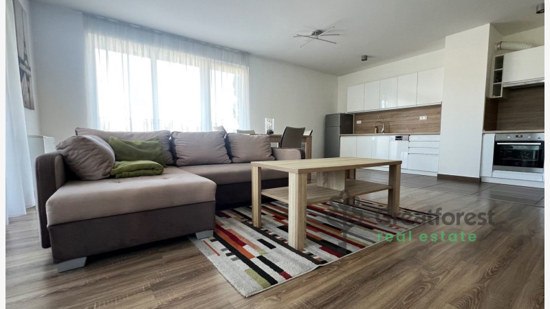 Debrecen, Close To Main Campus, flat  