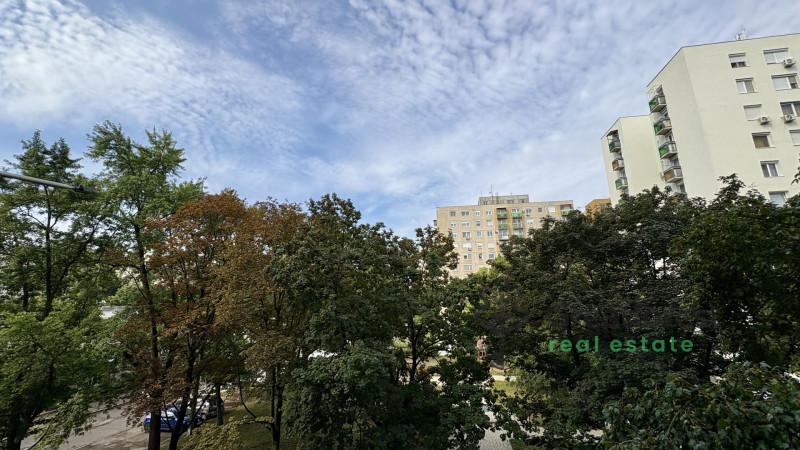 Debrecen, Close To Main Campus Agricult. Unversity, block of flats  