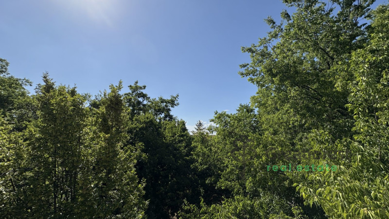 Debrecen, Greatforest Area, flat  