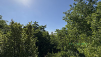 Debrecen, Greatforest Area, flat  