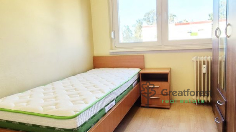 Debrecen, Close To Main Campus, flat  