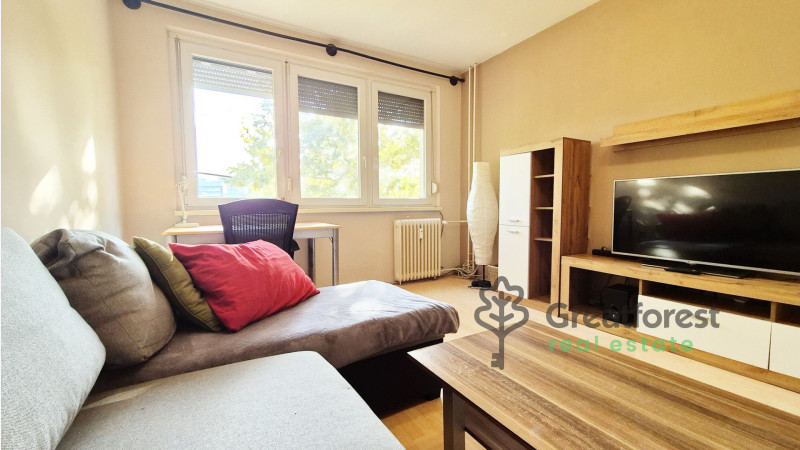 Debrecen, Close To Main Campus, flat  