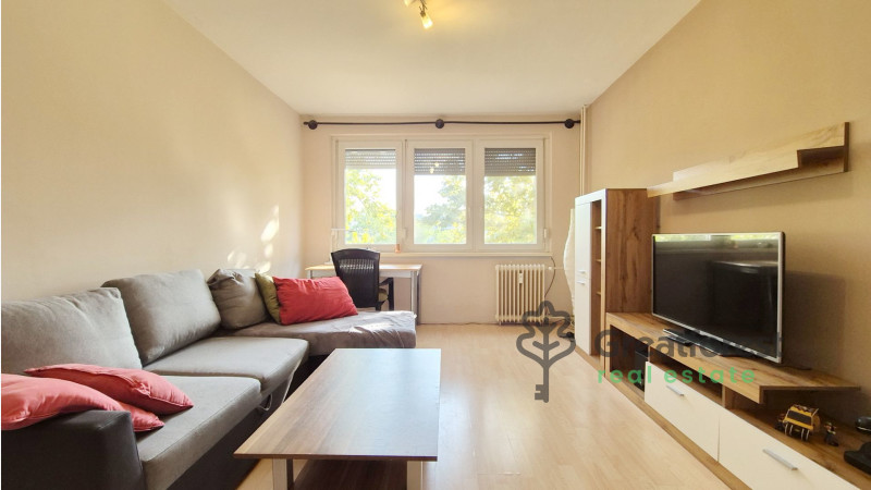 Debrecen, Close To Main Campus, flat  