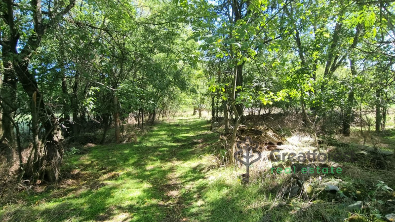 Hajdúböszörmény, Bodaszőlő, farm  