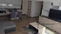 Debrecen, City Center, flat  