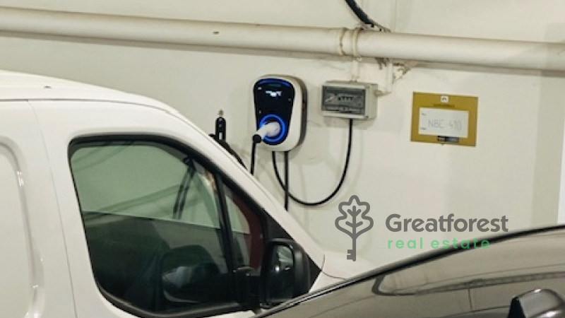 Debrecen, City Center, shop  