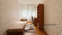 Debrecen, Close To Main Campus, room  