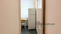Debrecen, Close To Main Campus, flat  