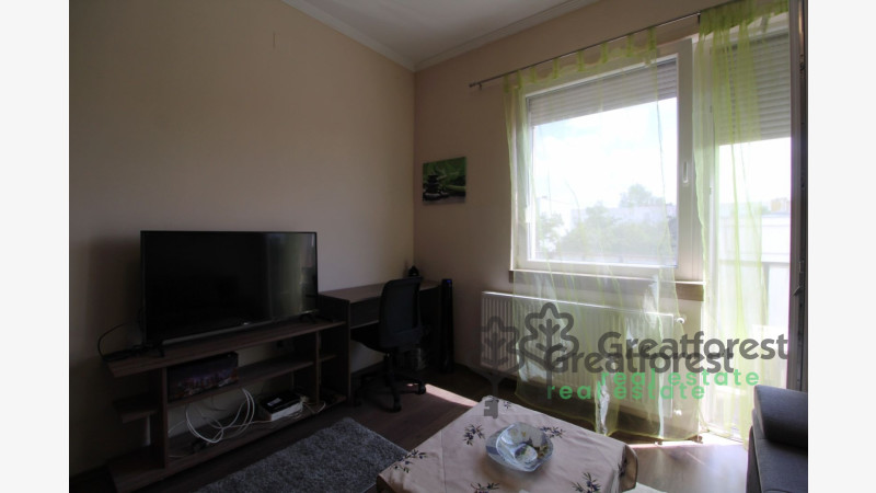 Debrecen, Close To Main Campus, flat  