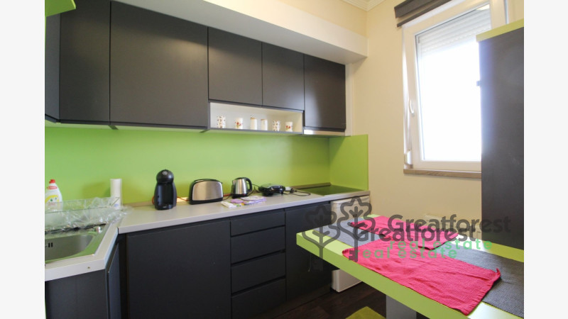 Debrecen, Close To Main Campus, flat  