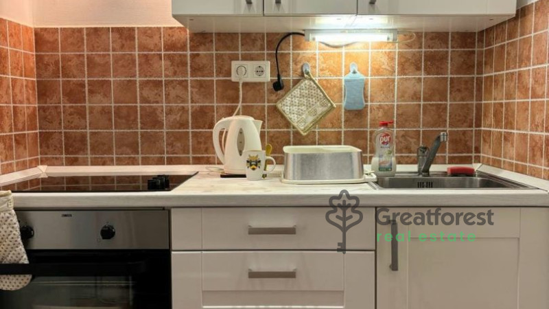 Debrecen, Close To Main Campus, flat  