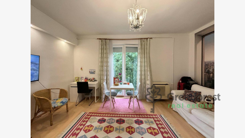 Debrecen, Close To Main Campus, flat  