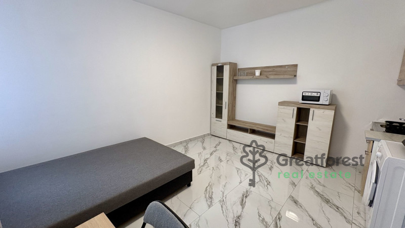 Debrecen, City Center, flat  