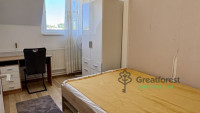 Debrecen, Bem Square, flat  