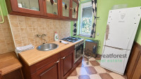 Debrecen, Close To Plaza, flat  