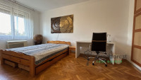 Debrecen, Close To Main Campus, flat  