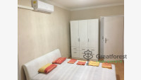 Debrecen, Close To Main Campus, flat  