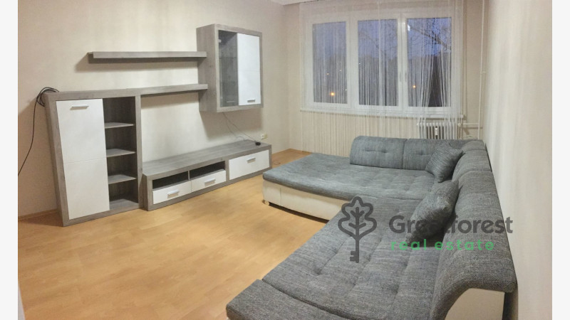 Debrecen, Close To Main Campus, flat  