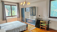Debrecen, Greatforest Area, flat  