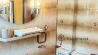 Debrecen, Greatforest Area, flat  
