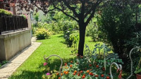 Debrecen, Greatforest Area, flat  
