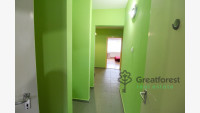 Debrecen, City Center, flat  