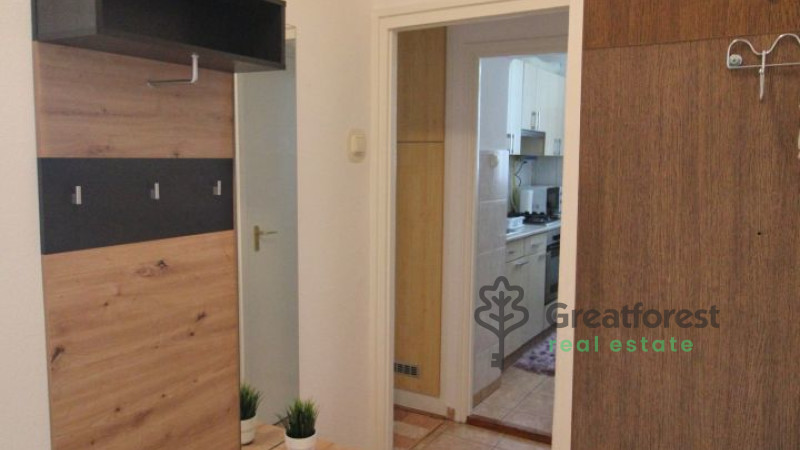 Debrecen, Close To Main Campus, flat  