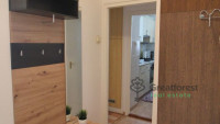 Debrecen, Close To Main Campus, flat  