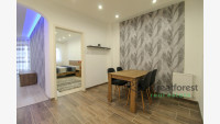 Debrecen, City Center, flat  
