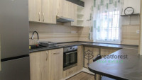 Debrecen, City Center, flat  