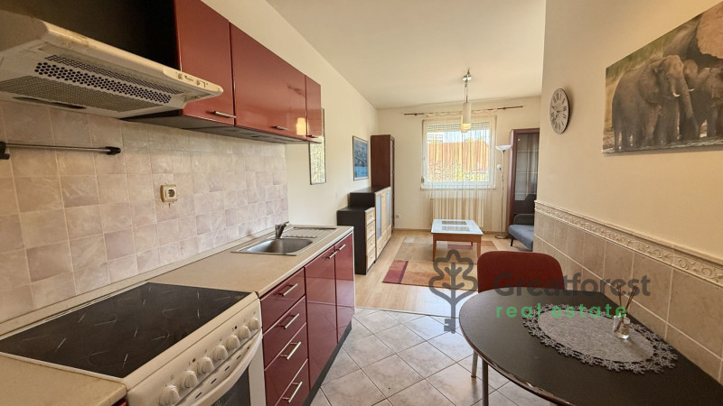 Debrecen, Close To Main Campus, flat  
