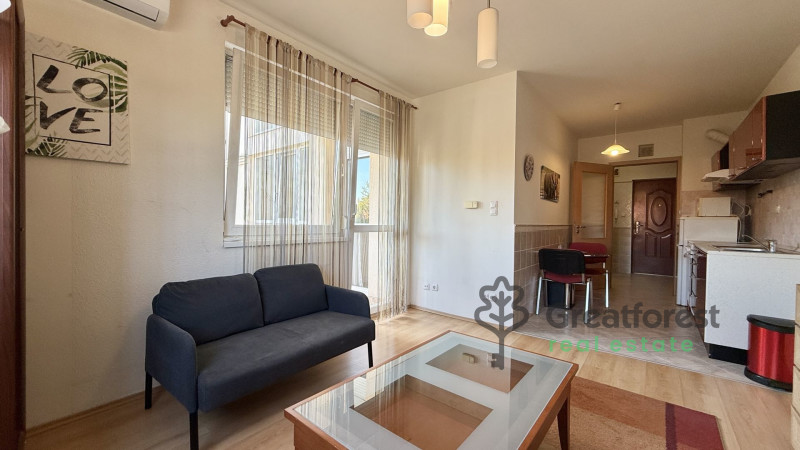 Debrecen, Close To Main Campus, flat  