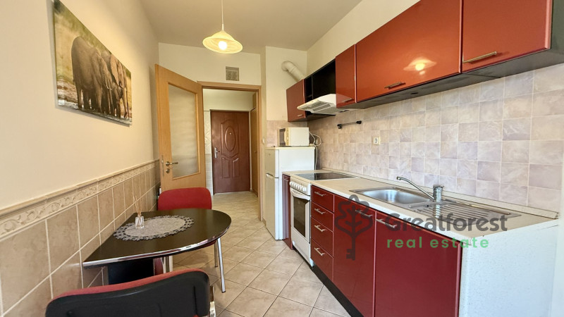 Debrecen, Close To Main Campus, flat  
