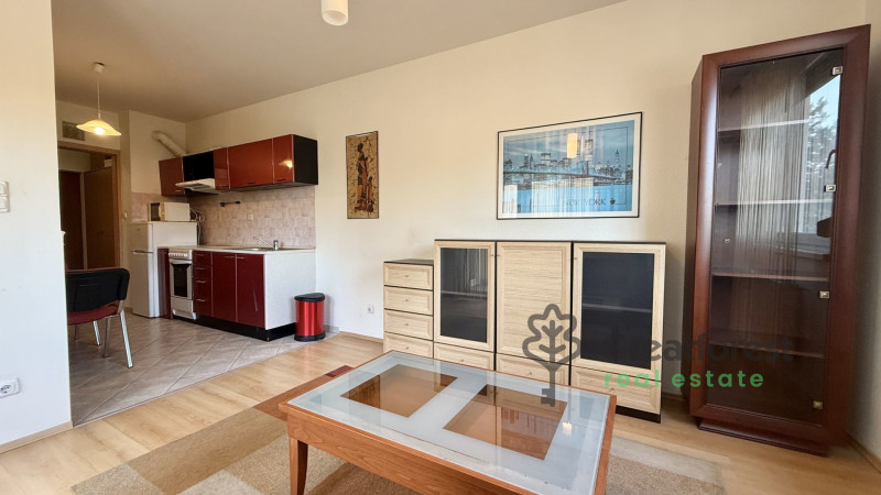 Debrecen, Close To Main Campus, flat  