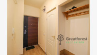 Debrecen, Greatforest Area, flat  