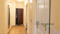 Debrecen, Greatforest Area, flat  