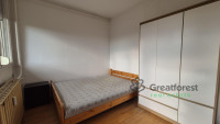 Debrecen, Close To Main Campus, flat  